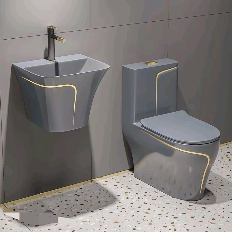 Modern keramisch sifon toilet  - Home One Bathroom Accessories recensie en prijs