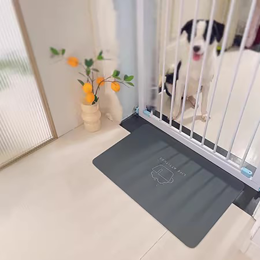 Antislip badkamerdeurmat, diat - Home One Bathroom Accessories recensie en prijs